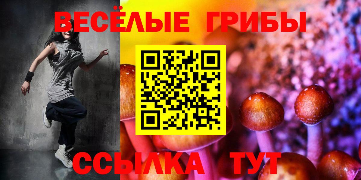 Галлюциногенные грибы прущие грибы  Вход с VPN  Воскресенск  Галлюциногенные грибы MAGIC MUSHROOMS 
