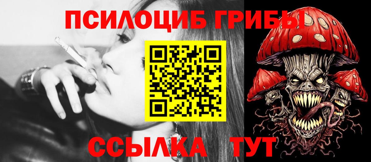 Псилоцибиновые грибы Cubensis Воскресенск